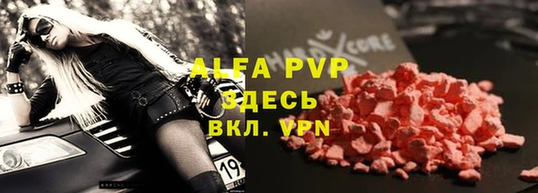 ешки Новозыбков