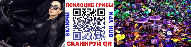 магазин    Солнечногорск  Псилоцибиновые грибы прущие грибы 
